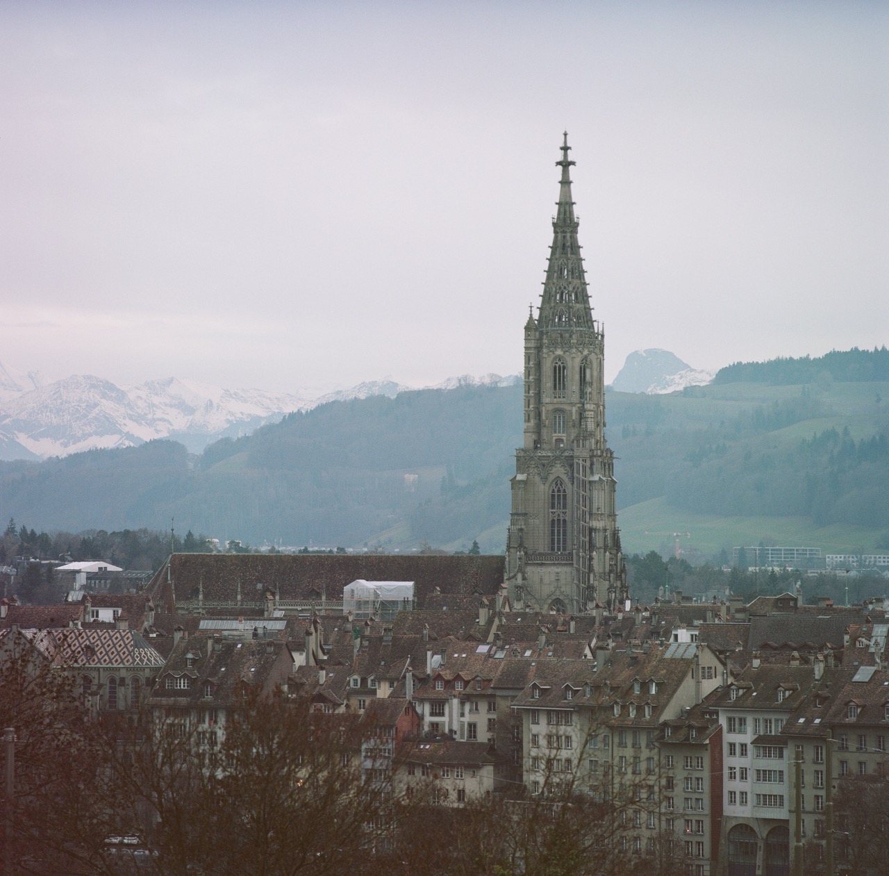 left-image